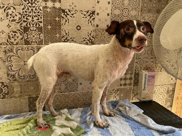 multimedia-foto74080-389-1