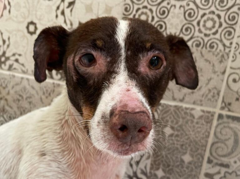 multimedia-foto74081-389-1