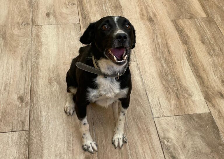 multimedia-foto74089-131-1