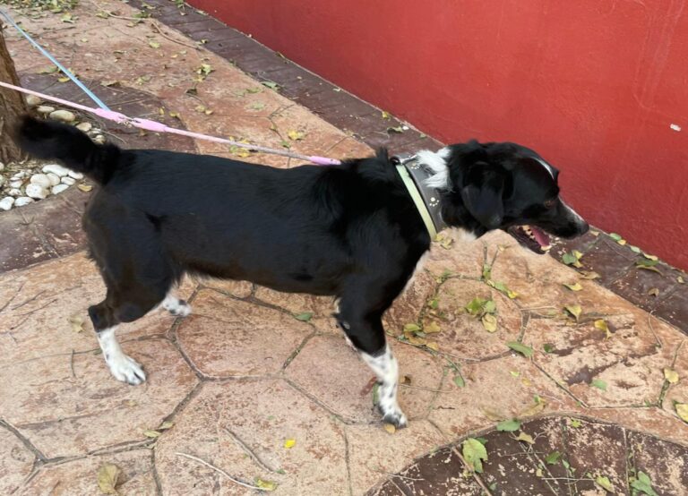 multimedia-foto74090-131-1