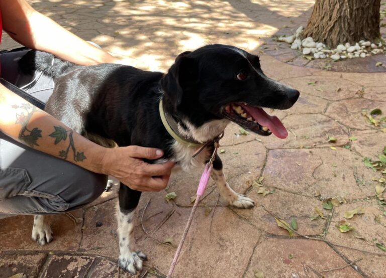 multimedia-foto74091-131-1