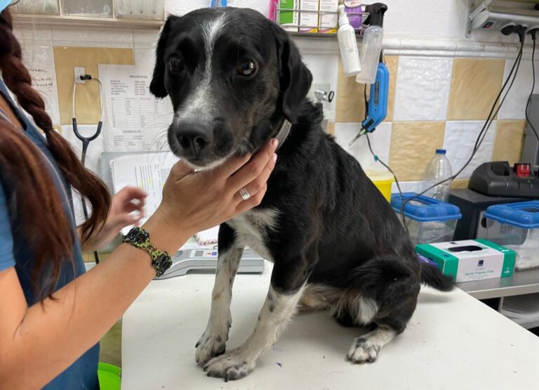 multimedia-foto74092-131-1