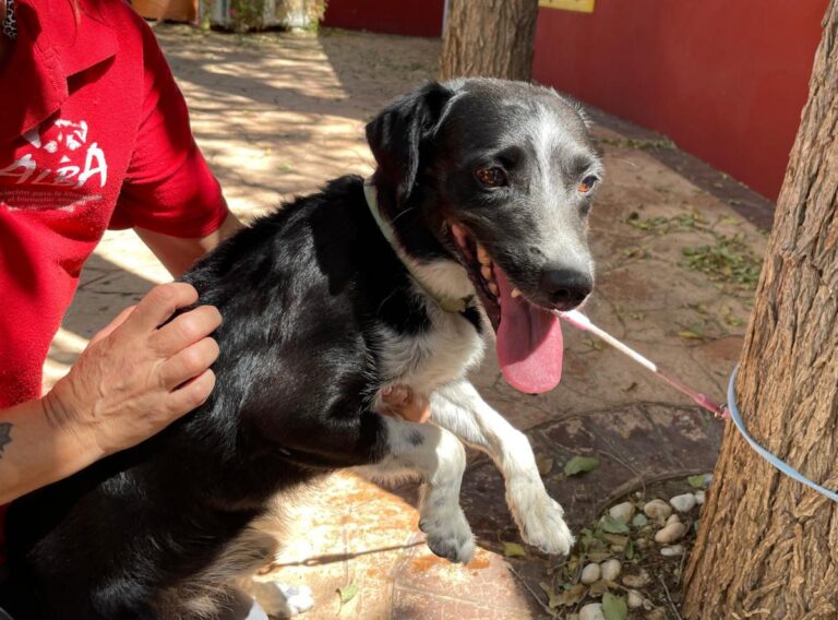 multimedia-foto74093-187-1