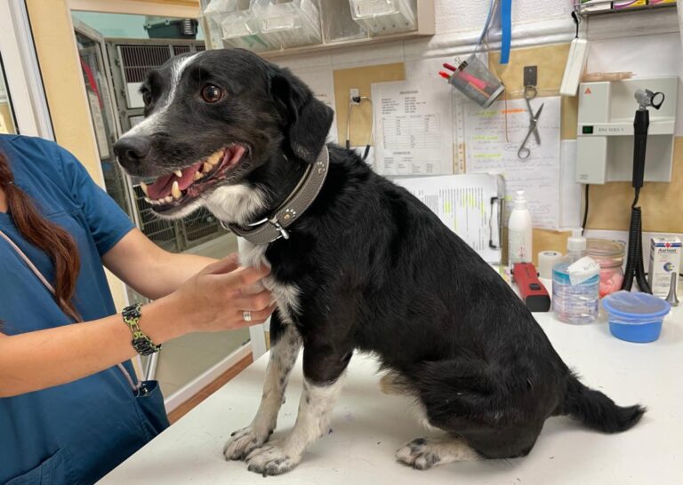 multimedia-foto74094-187-1