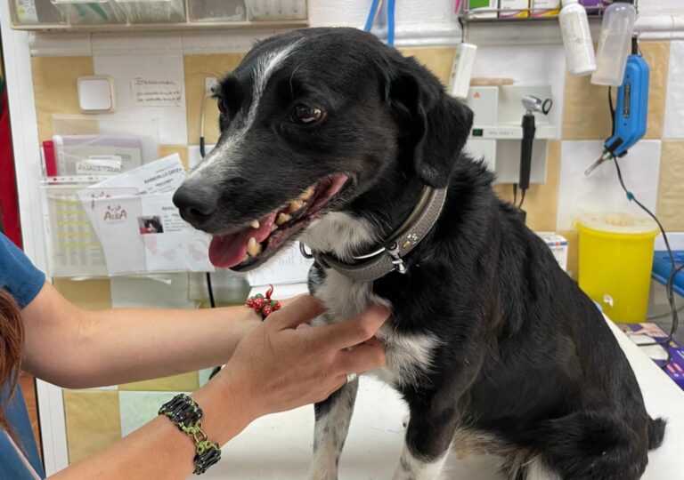 multimedia-foto74095-188-1