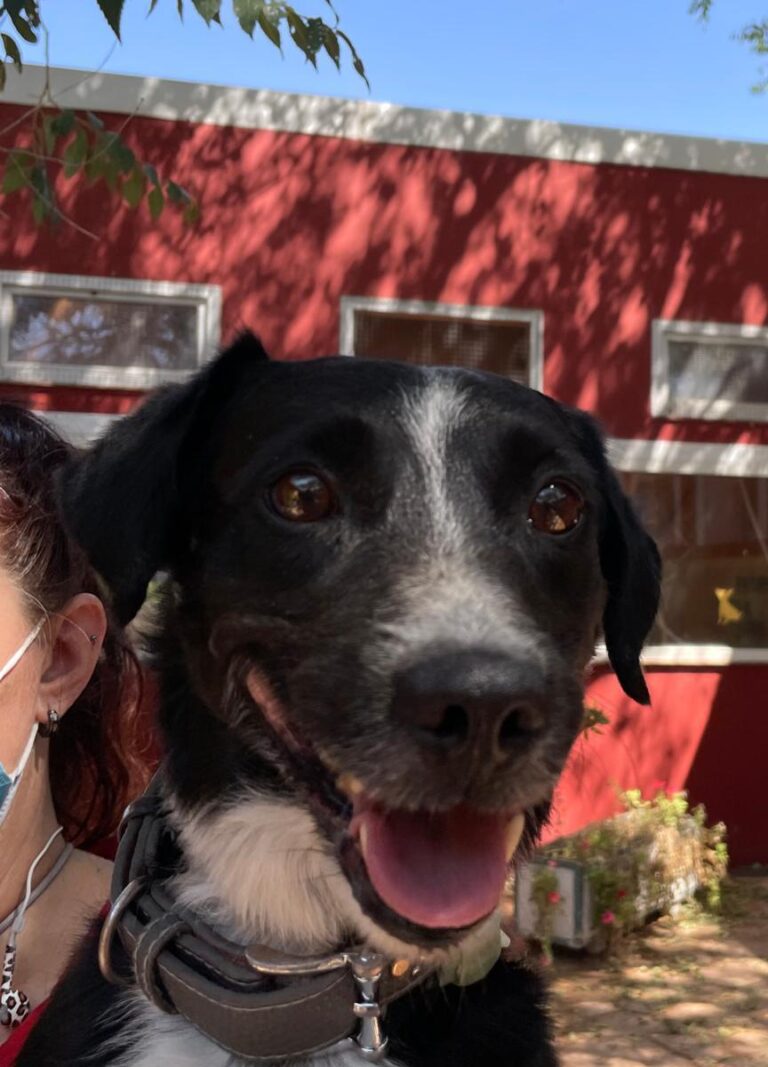 multimedia-foto74096-188-1