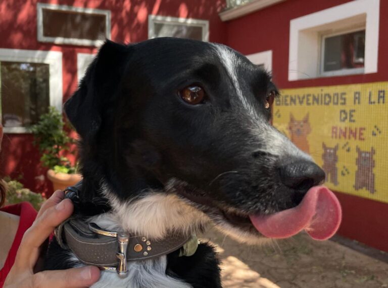 multimedia-foto74097-188-1