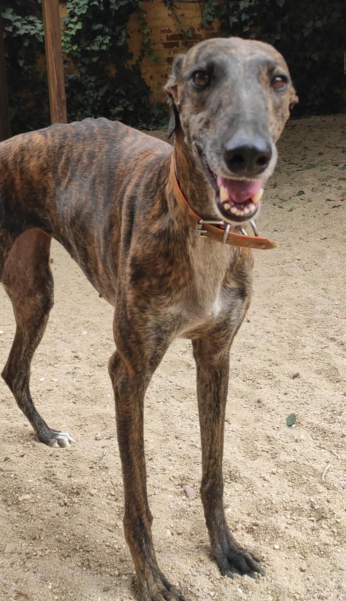 multimedia-foto74102-691-1