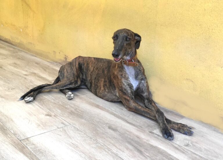 multimedia-foto74103-691-1