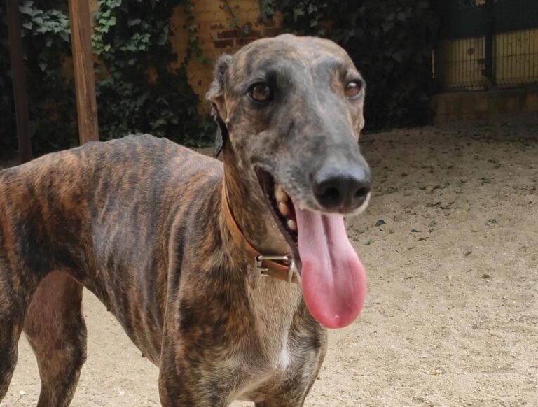 multimedia-foto74104-691-1