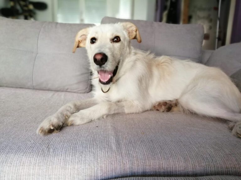 multimedia-foto74105-731-1