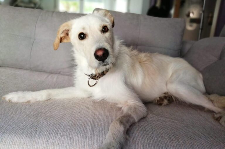 multimedia-foto74106-731-1