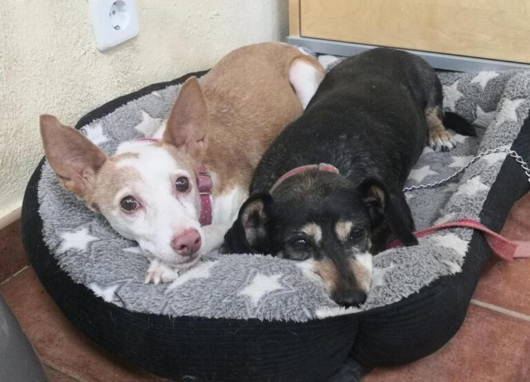 multimedia-foto74107-763-1