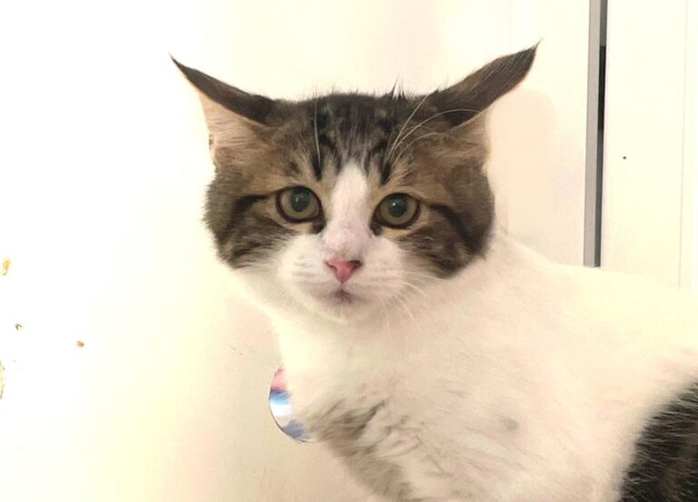 multimedia-foto74144-635-1