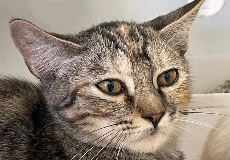 multimedia-foto74162-174-1