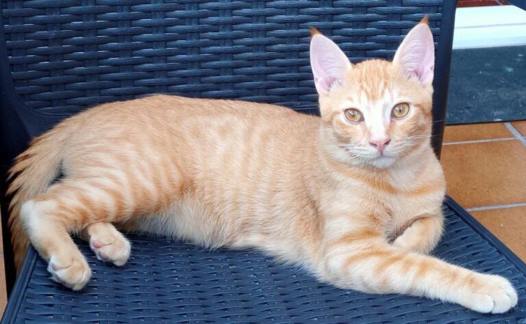 multimedia-foto74179-846-1