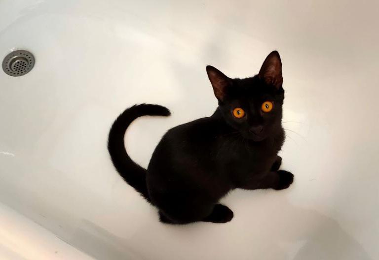 multimedia-foto74182-917-1