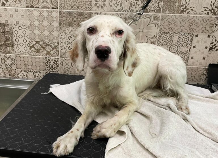 multimedia-foto74187-125-1