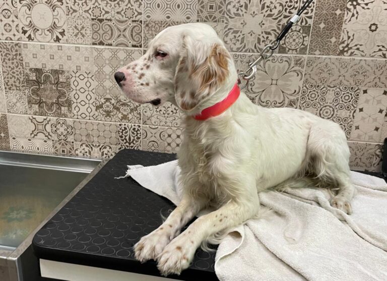 multimedia-foto74188-125-1