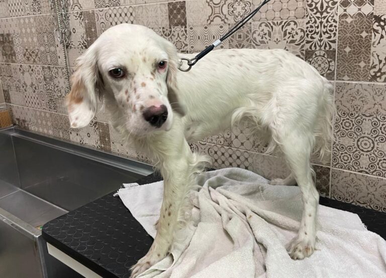 multimedia-foto74189-125-1