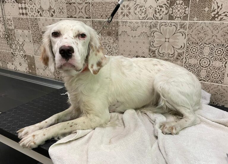 multimedia-foto74190-125-1