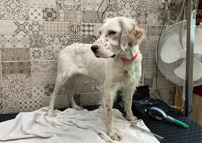 multimedia-foto74191-125-1