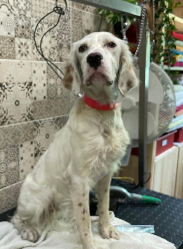 multimedia-foto74192-126-1