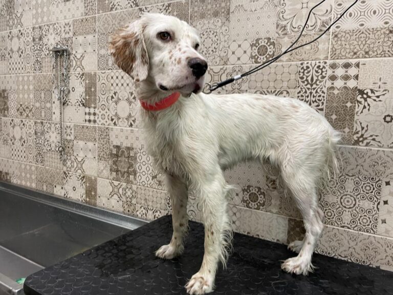 multimedia-foto74193-126-1