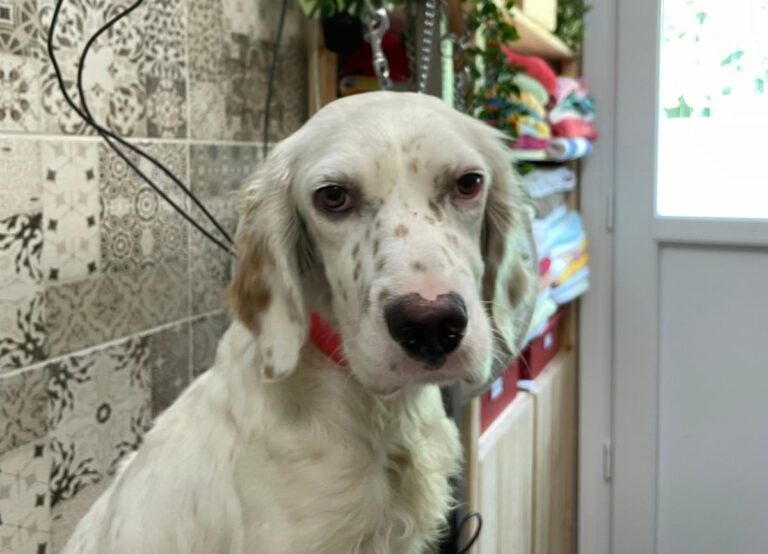 multimedia-foto74194-126-1