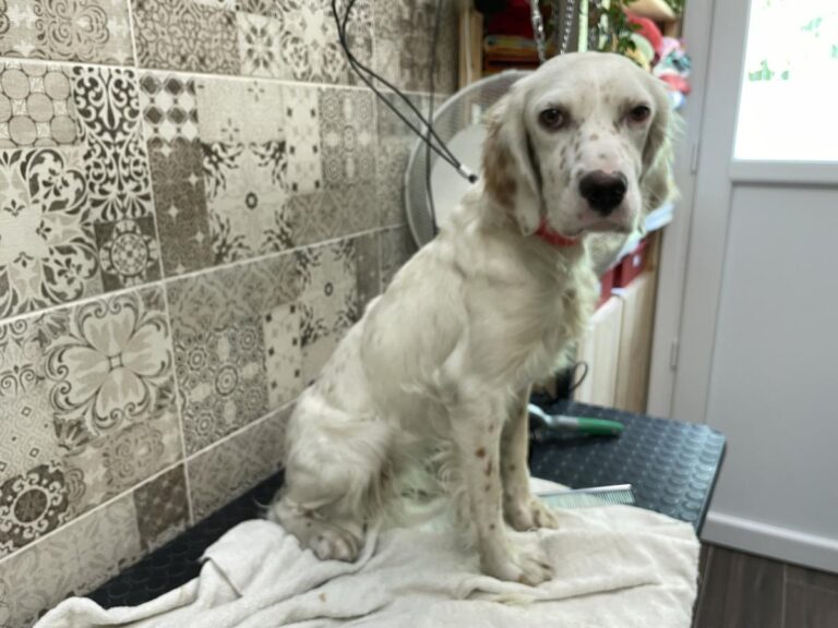 multimedia-foto74195-126-1