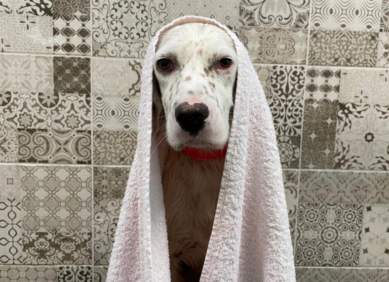 multimedia-foto74196-126-1