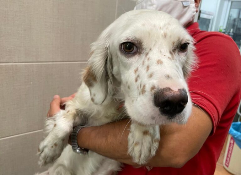 multimedia-foto74197-127-1