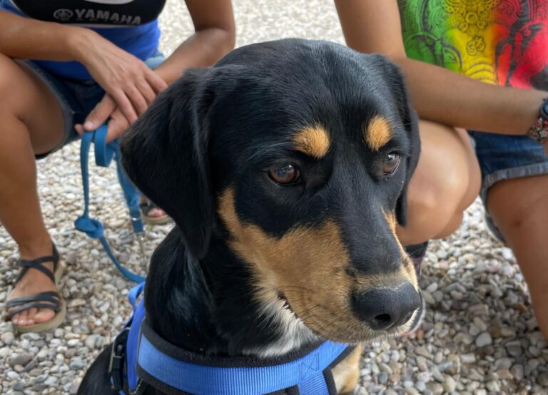 multimedia-foto74206-904-1