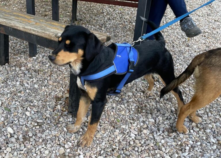 multimedia-foto74207-904-1