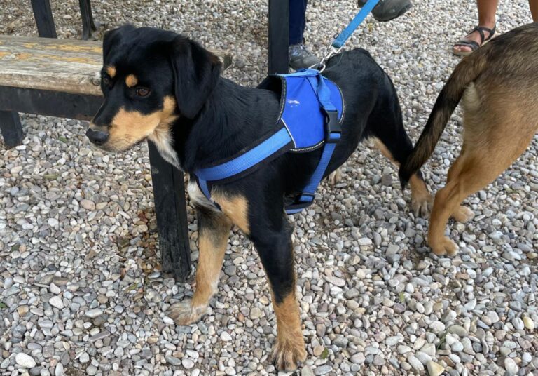 multimedia-foto74208-904-1