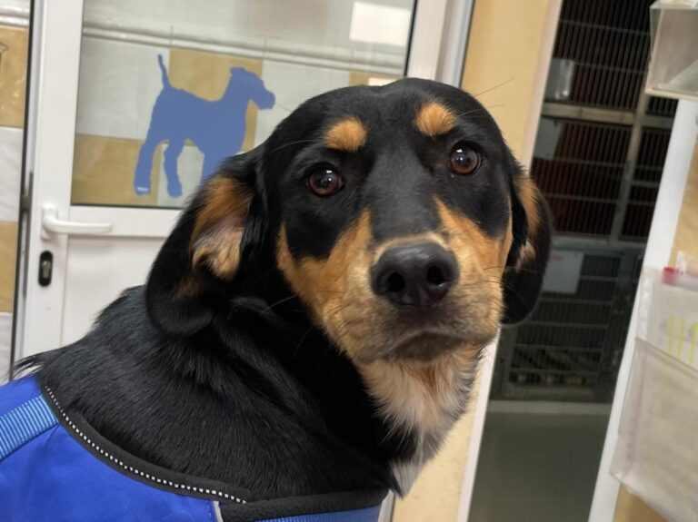 multimedia-foto74209-904-1