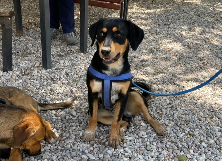 multimedia-foto74210-904-1