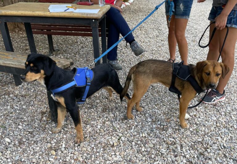 multimedia-foto74211-905-1