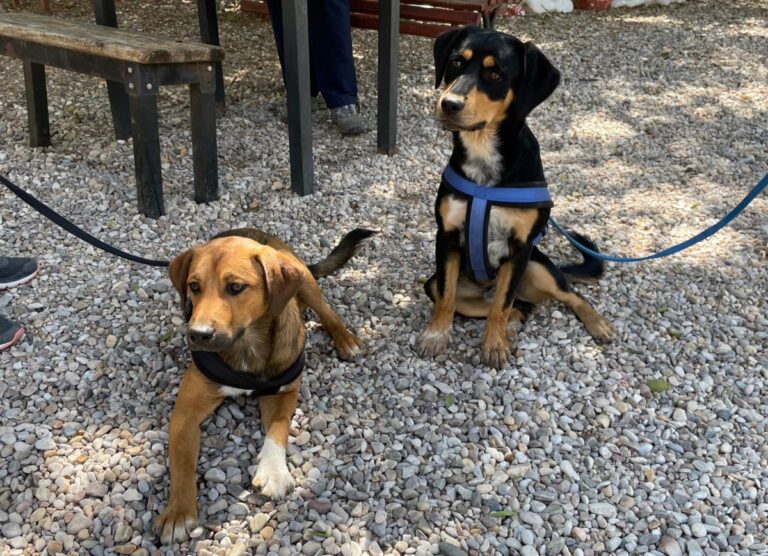 multimedia-foto74212-905-1