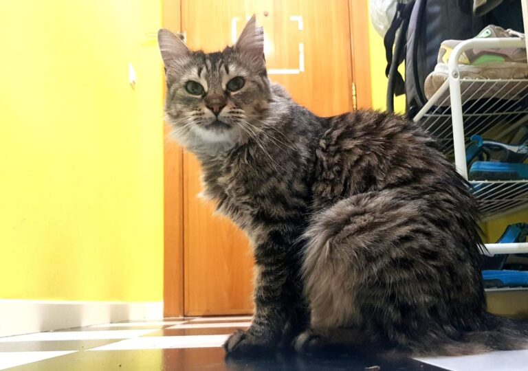 multimedia-foto74273-502-1