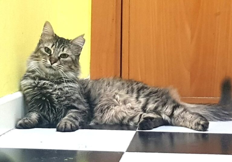 multimedia-foto74274-502-1