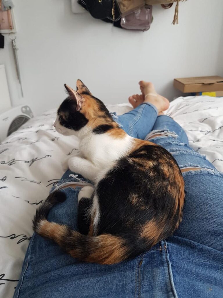 multimedia-foto74283-571-1