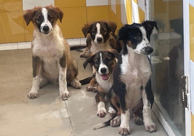 multimedia-foto74377-952-1