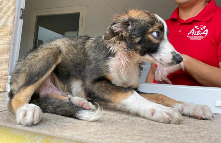 multimedia-foto74382-953-1