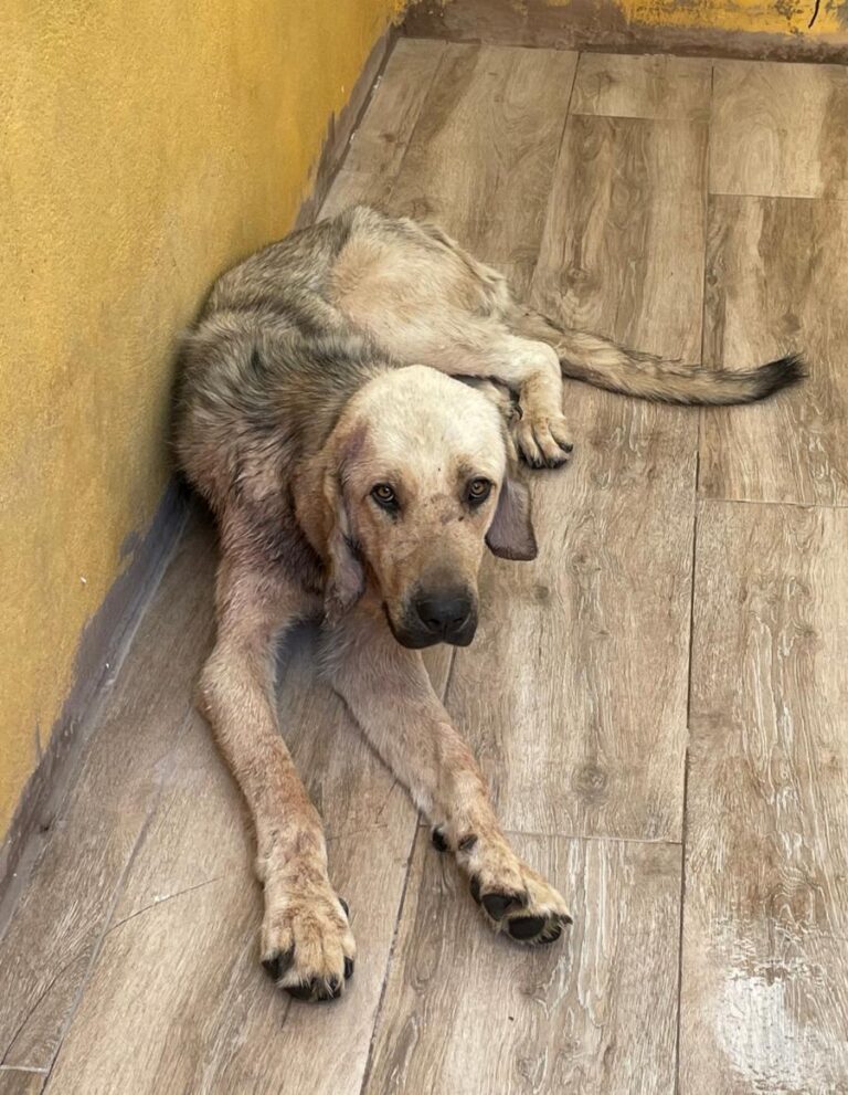 multimedia-foto74413-79-1