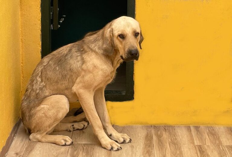 multimedia-foto74418-80-1