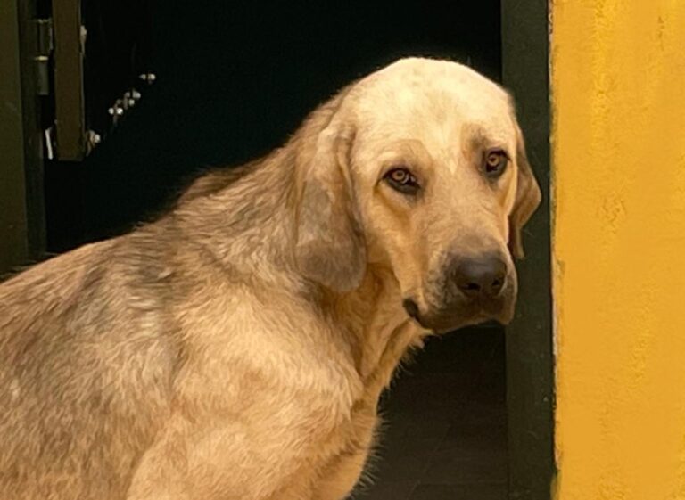 multimedia-foto74419-81-1