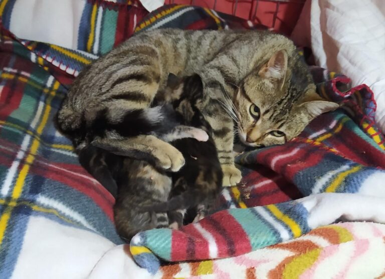 multimedia-foto74496-760-1