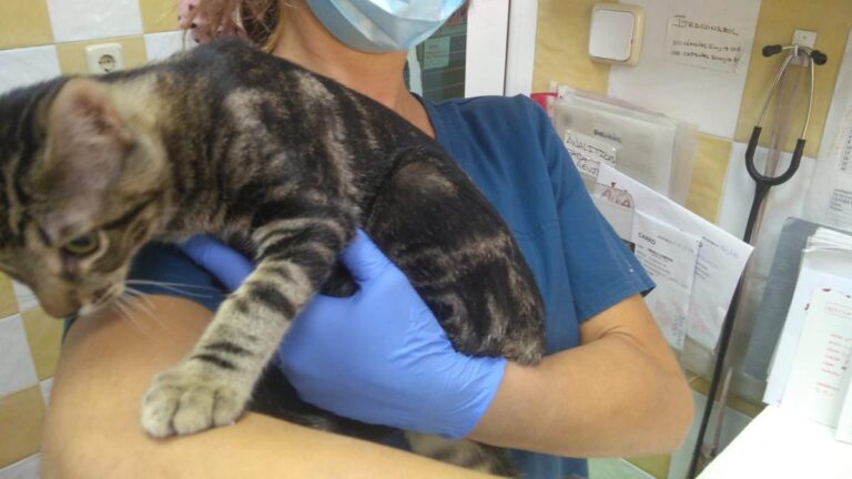 multimedia-foto74504-761-1