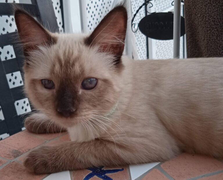 multimedia-foto74545-920-1